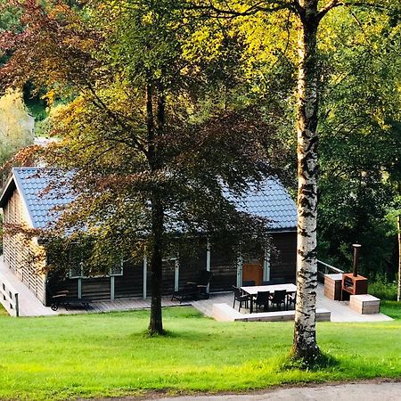 Fwv Chalet 2 Le Scandinave ビューリンゲン エクステリア 写真