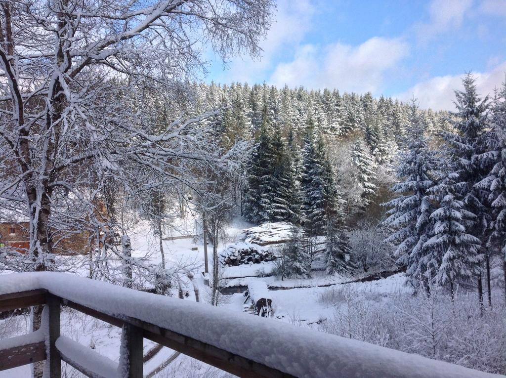 Fwv Chalet 2 Le Scandinave ビューリンゲン エクステリア 写真