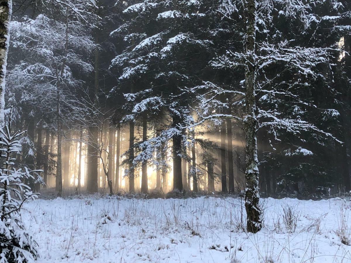 Fwv Chalet 2 Le Scandinave ビューリンゲン エクステリア 写真