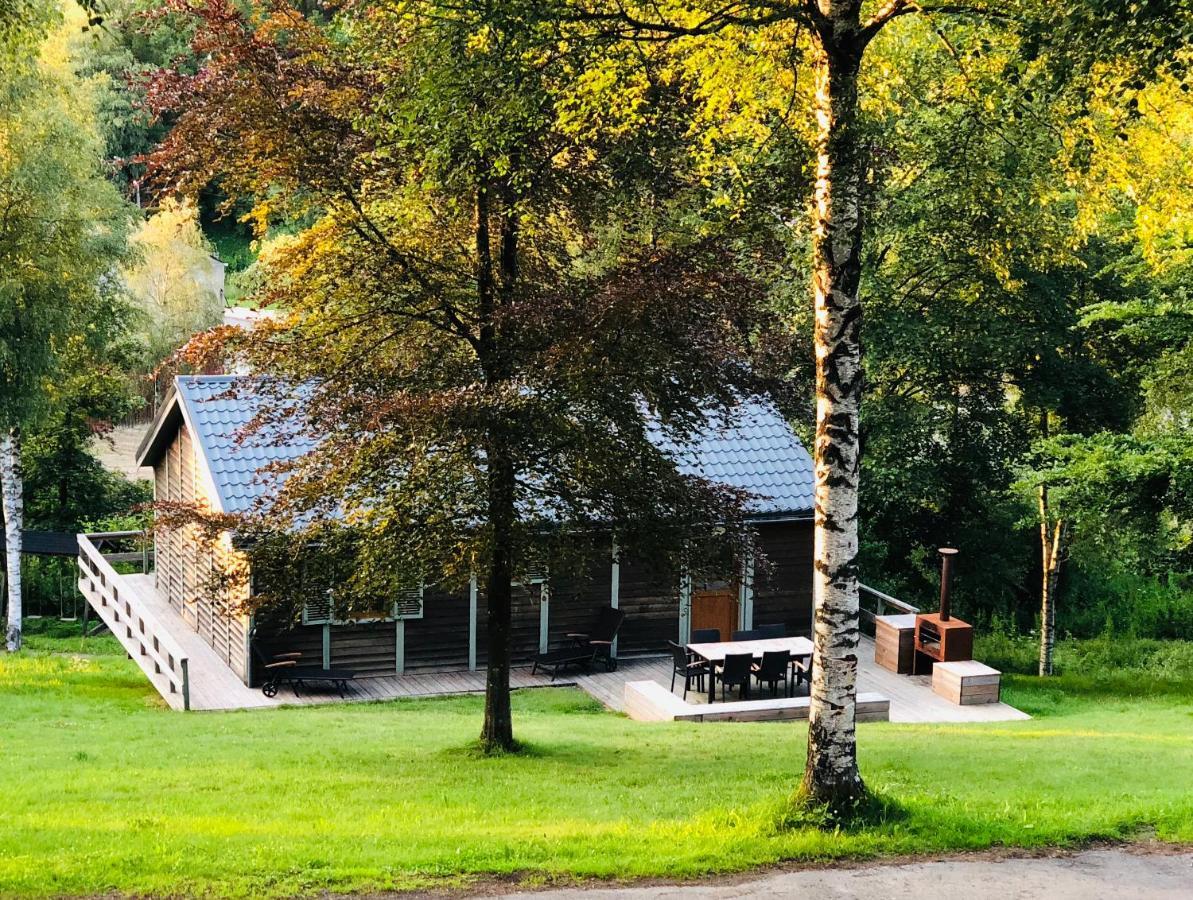 Fwv Chalet 2 Le Scandinave ビューリンゲン エクステリア 写真